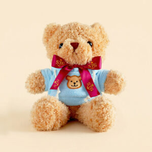 Blue Hoodie Teddy Bear