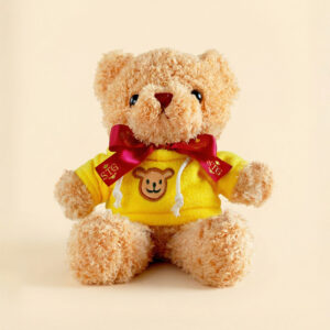 Yellow Hoodie Teddy Bear